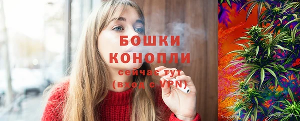 амф Богданович