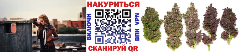это состав  Бор  Бошки Шишки ГИДРОПОН  магазин  наркотиков 